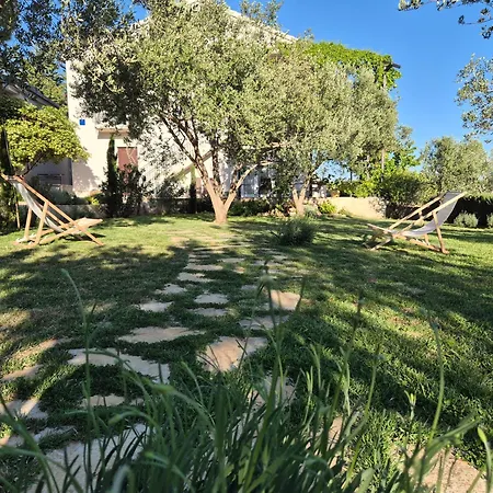 Evita Mediterranean Family Oasis Among Olive Trees