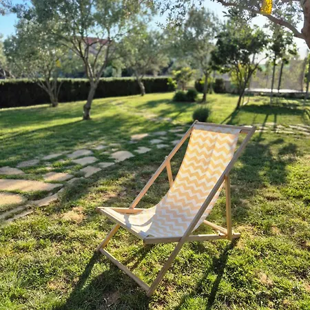 Evita Mediterranean Family Oasis Among Olive Trees Apartman