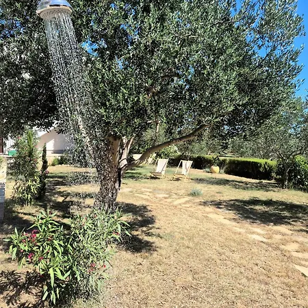 Apartman Evita Mediterranean Family Oasis Among Olive Trees