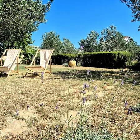 Evita Mediterranean Family Oasis Among Olive Trees